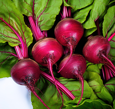 Beetroot