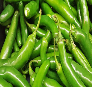 Green Chilli