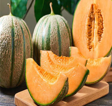 Muskmelon