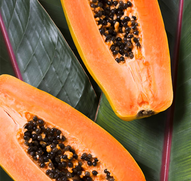 Papaya