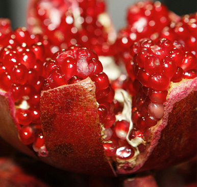 Pomegranate