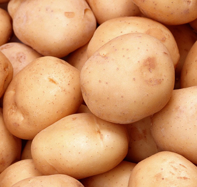 Potato