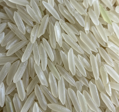 Sona Masuri Rice