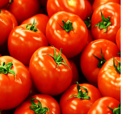 Tomato